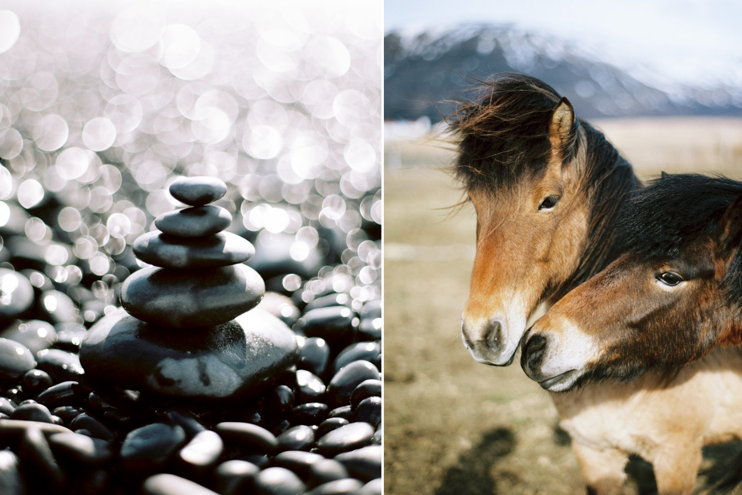 Iceland wedding photographer