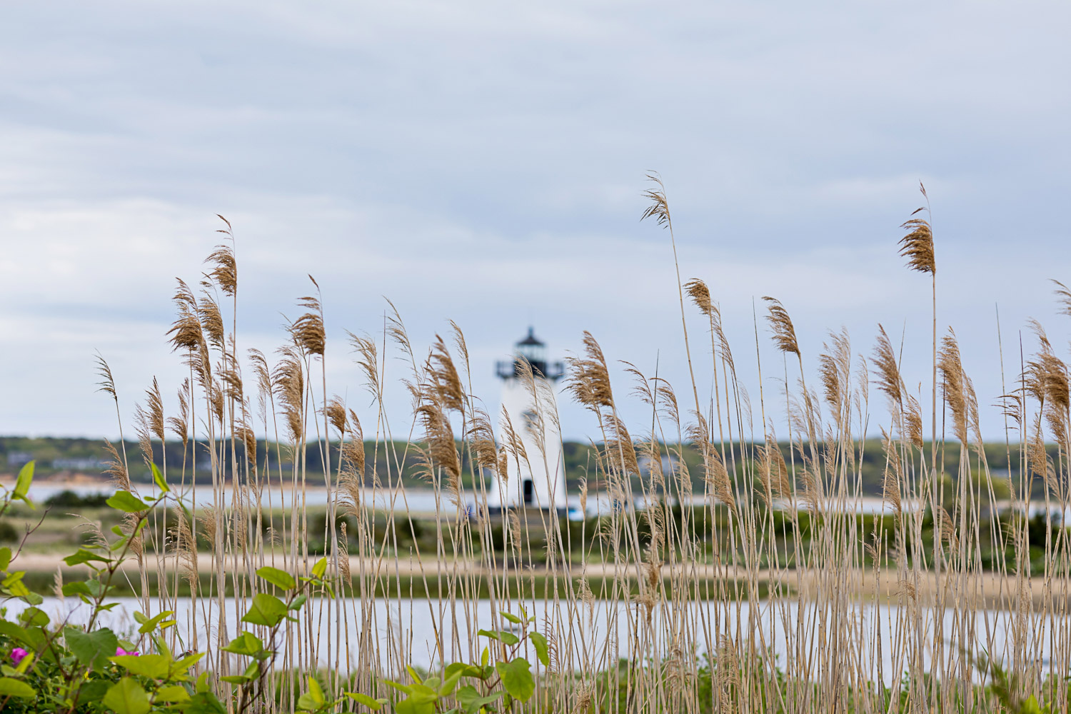 edgartown-harbor-view-hotel-wedding-01