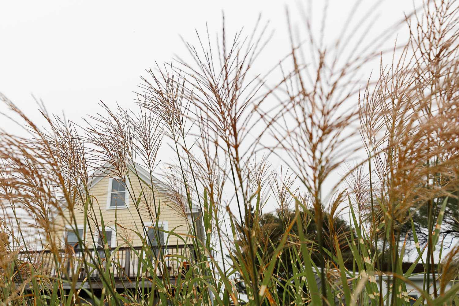 Provincetown-wedding-photographer-003