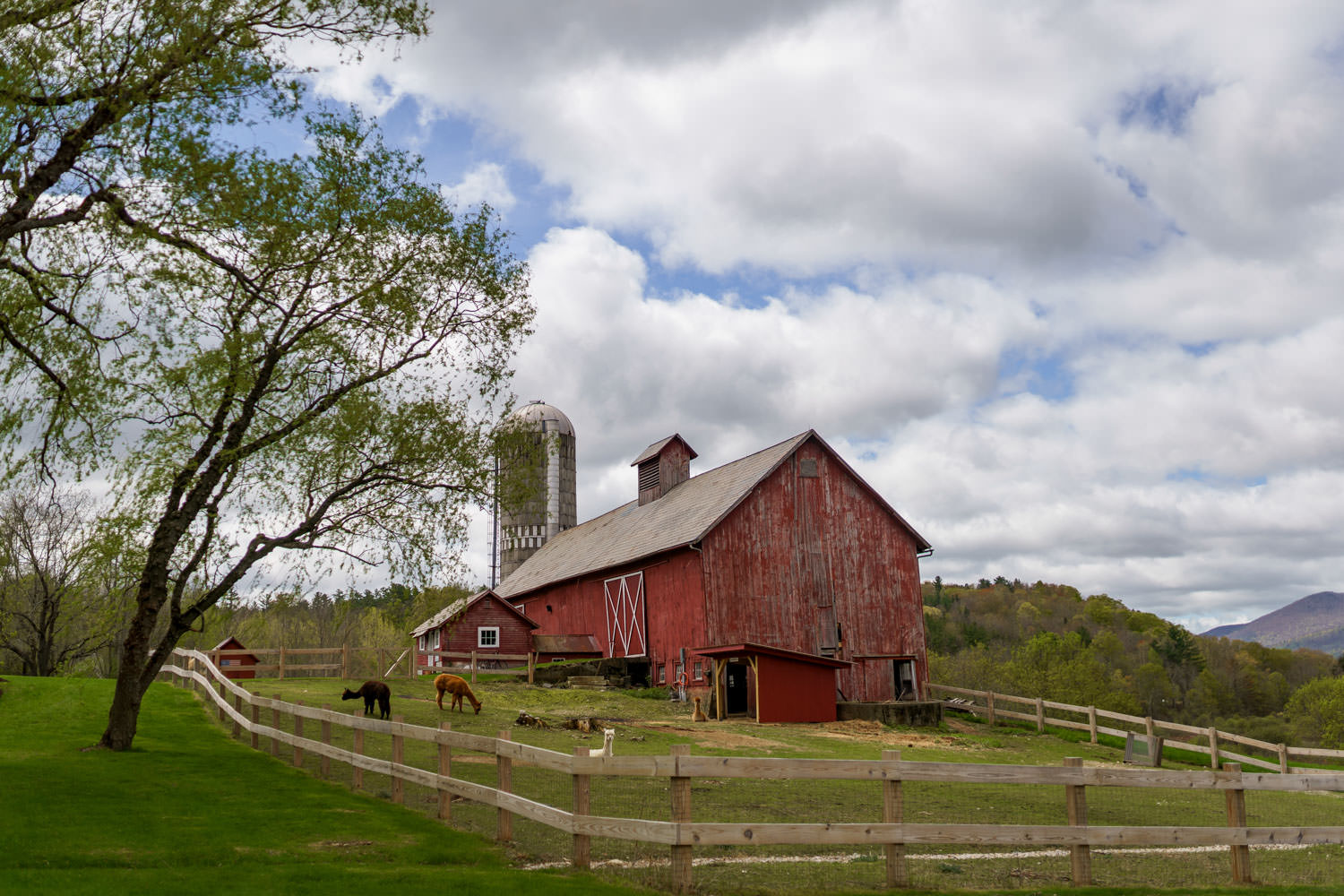 hill-farm-inn-vermont-wedding-001