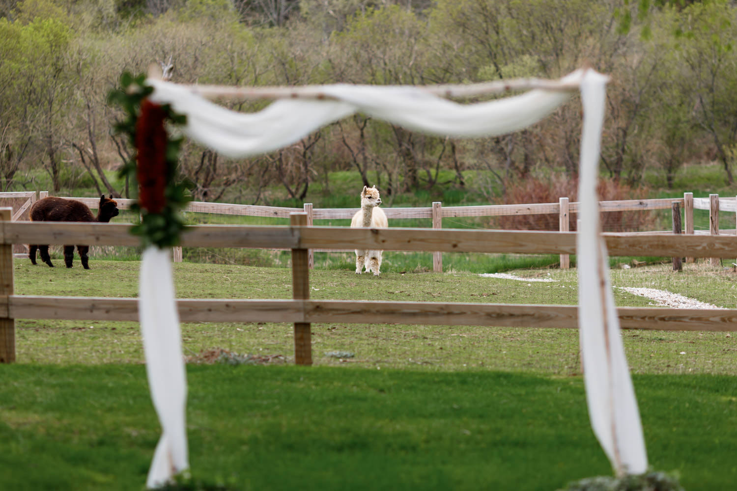 hill-farm-inn-vermont-wedding-004