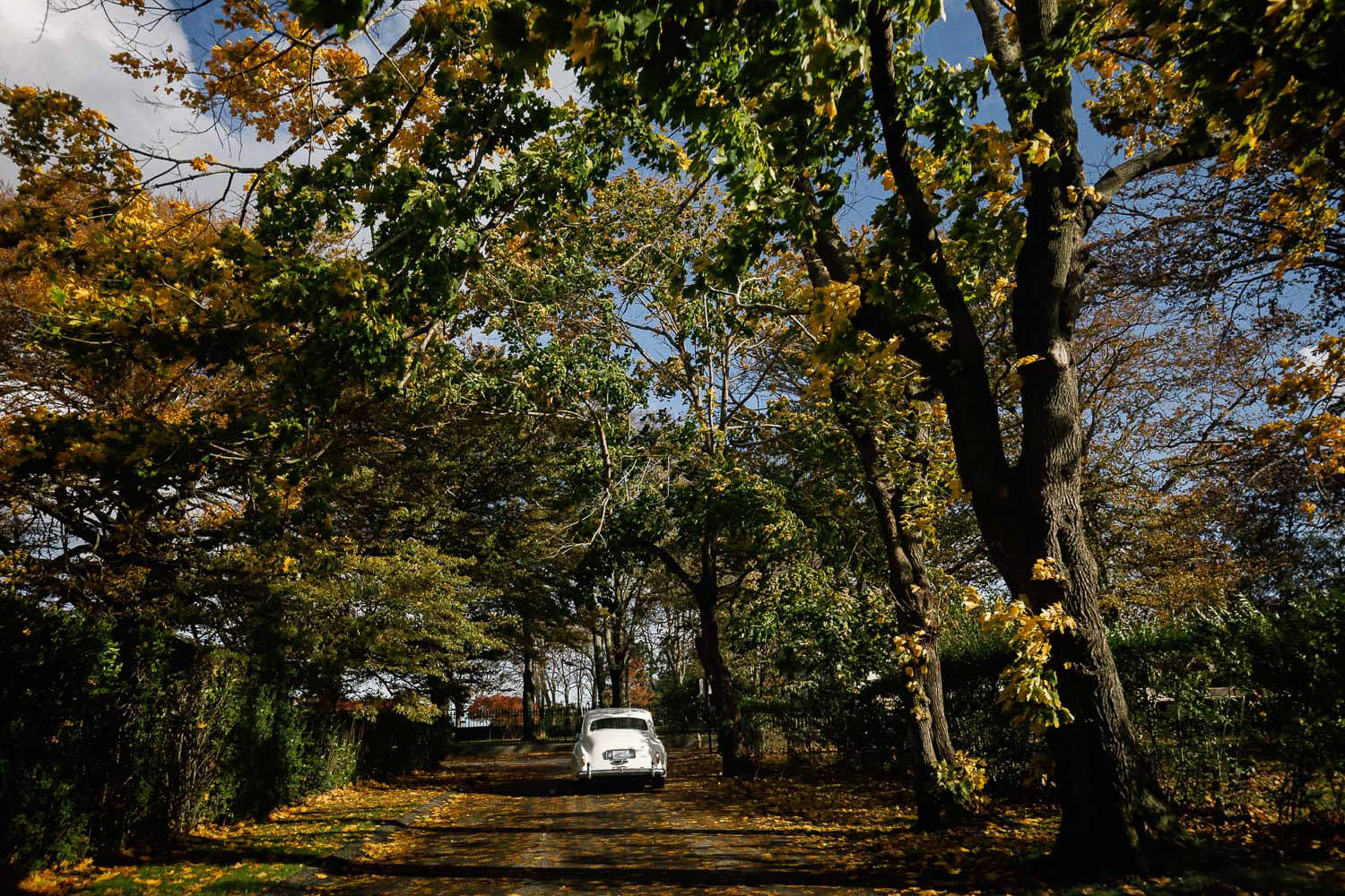 Rosecliff-mansion-wedding-009