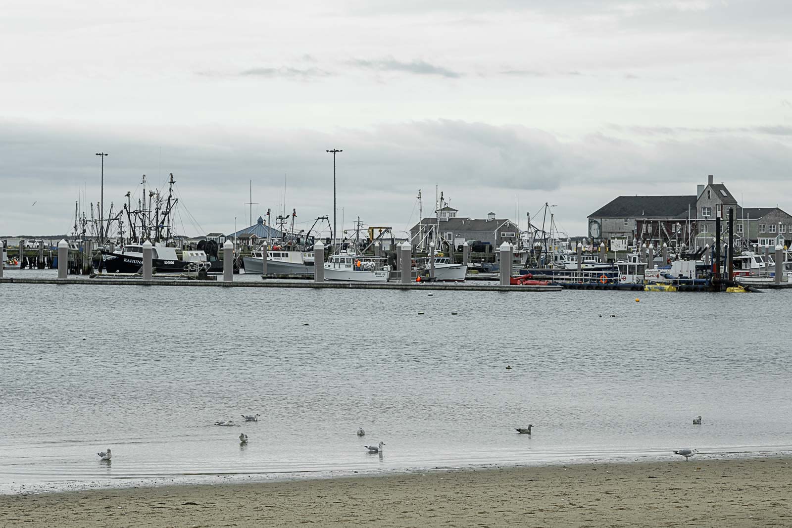 Provincetown-elopement-001