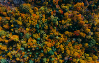 Looking for an awesome photographer to hire!