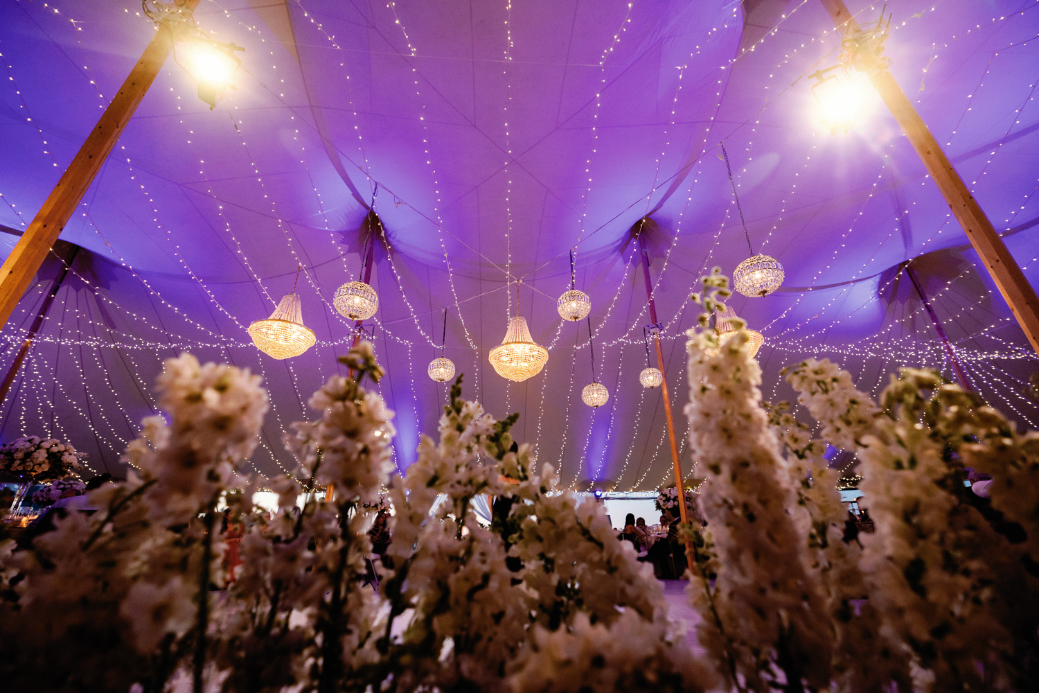 Chatham-Bars-Inn-tent-wedding-024